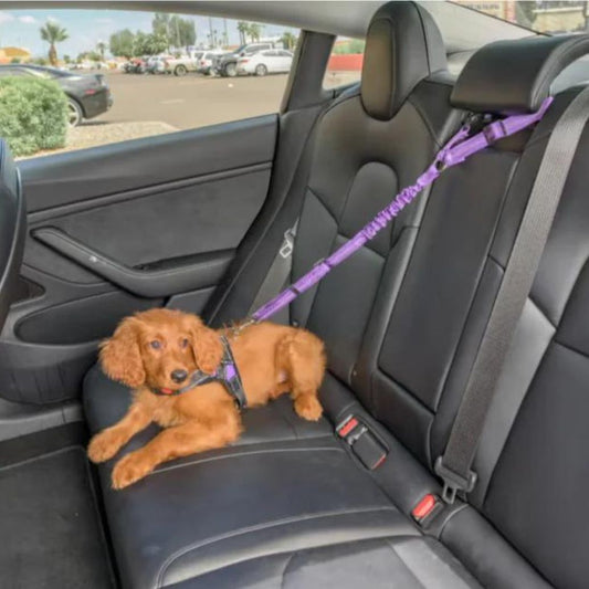 Adjustable Dog Car Seat Belt & Walking Leash