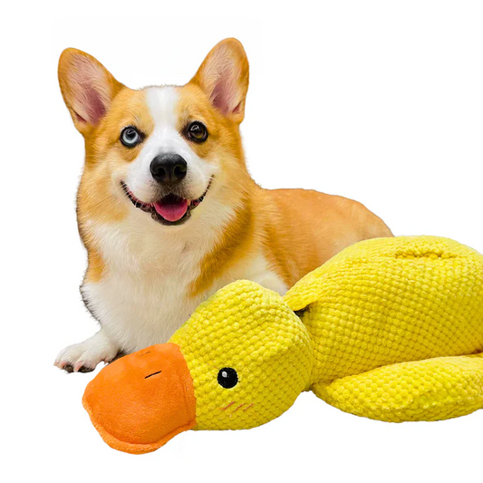 Calming Durable Chew & Cuddle Plush Duck Dog Toy