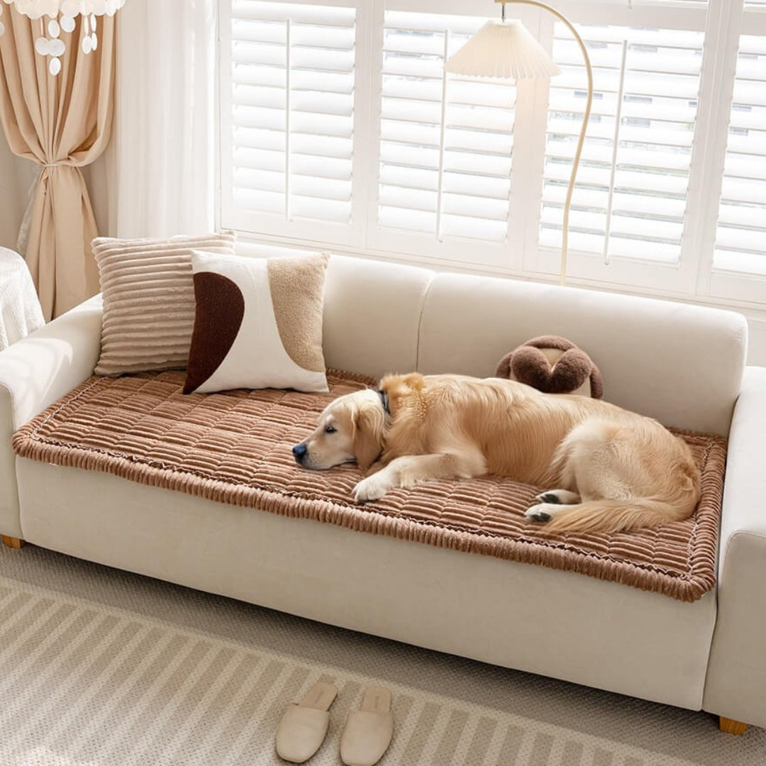 Cosy Plush Pet Seat Sofa Cover