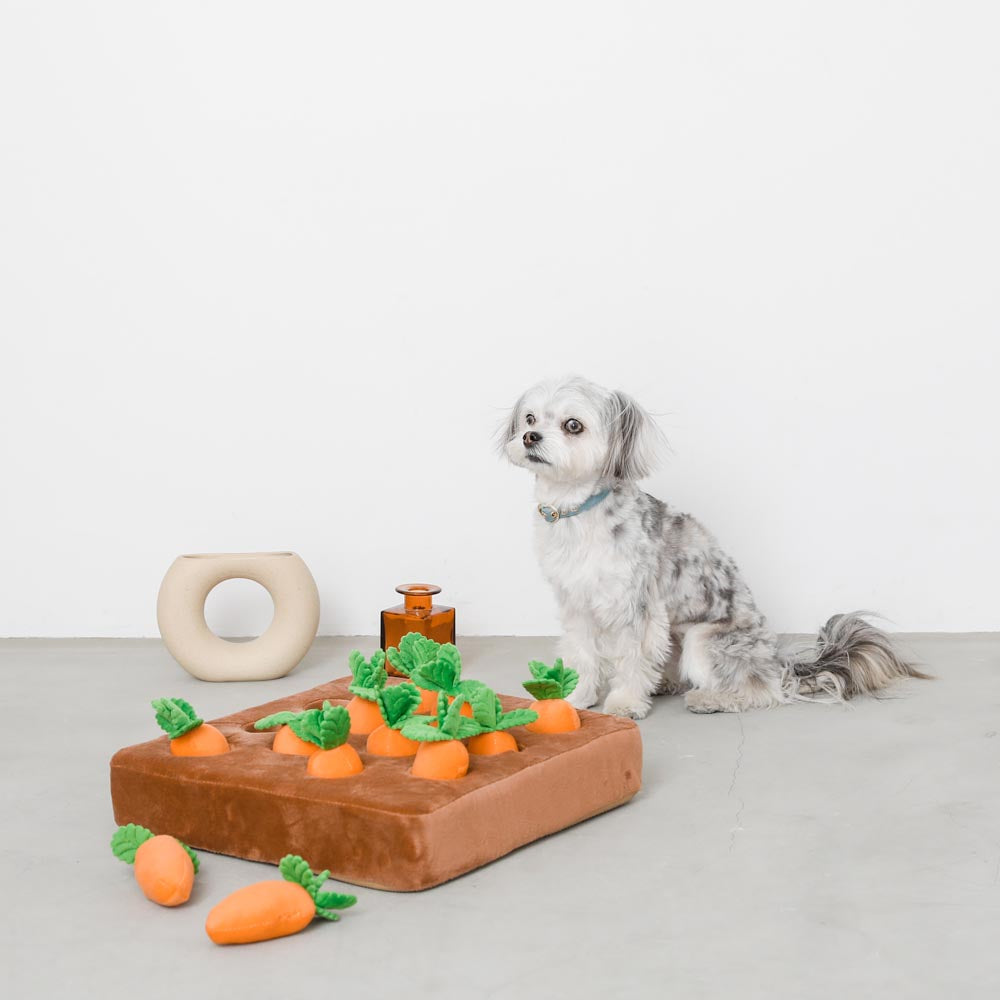 Interactive Dog Nosework Carrot Puzzle Toy