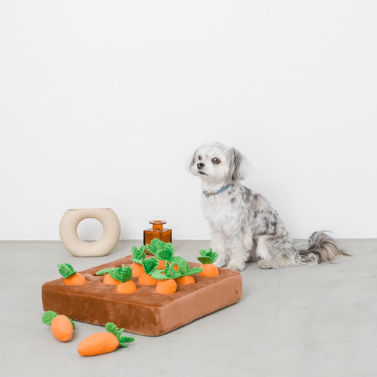 Interactive Dog Nosework Carrot Puzzle Toy
