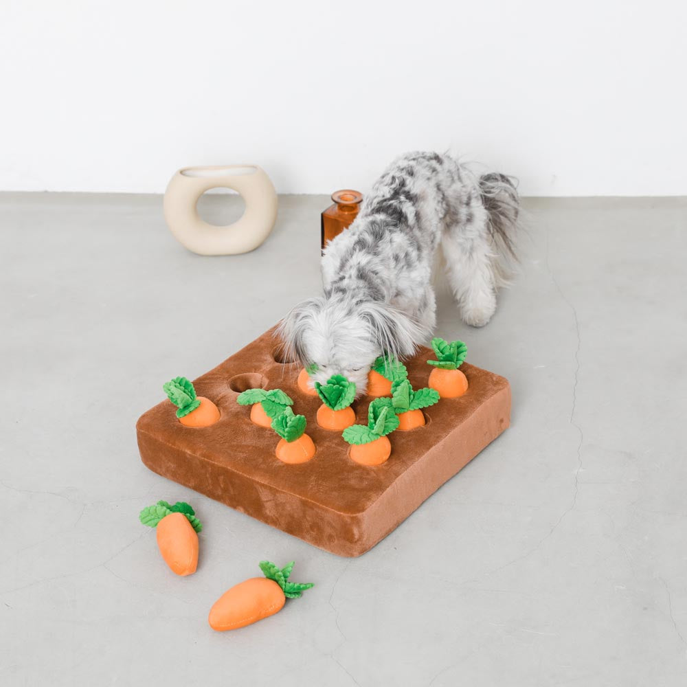 Interactive Dog Nosework Carrot Puzzle Toy