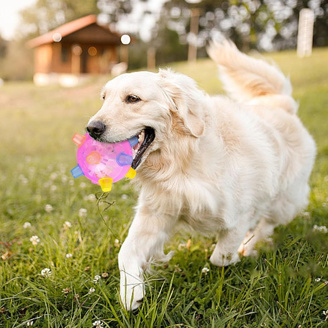 LED Jumping Activation Ball | Bouncing Interactive Dog Toy