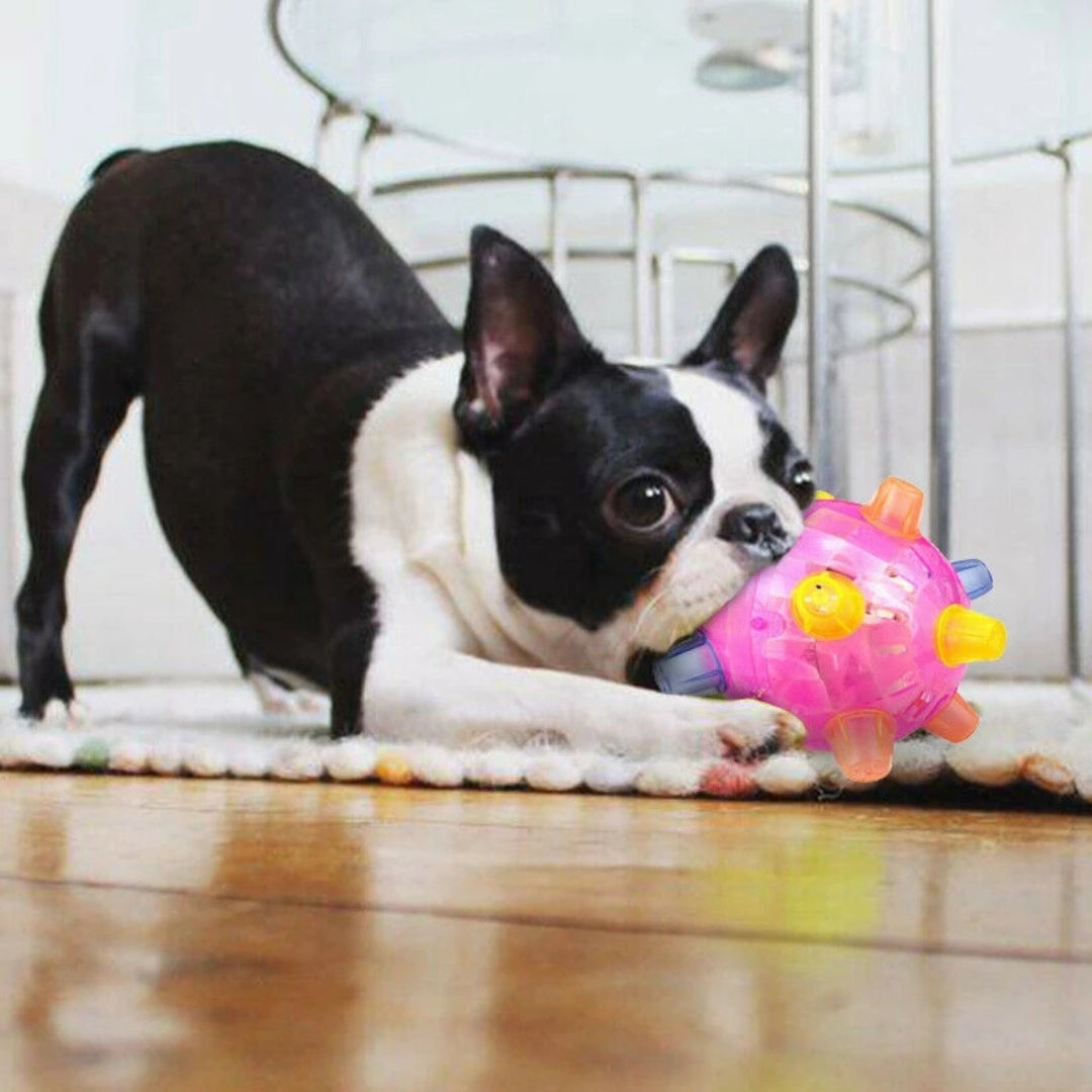 LED Jumping Activation Ball | Bouncing Interactive Dog Toy