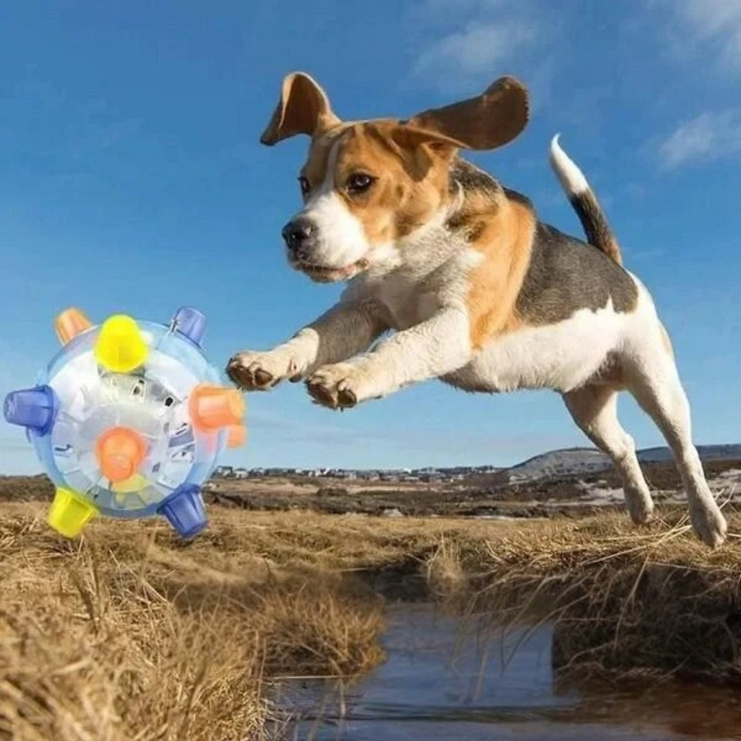 LED Jumping Activation Ball | Bouncing Interactive Dog Toy