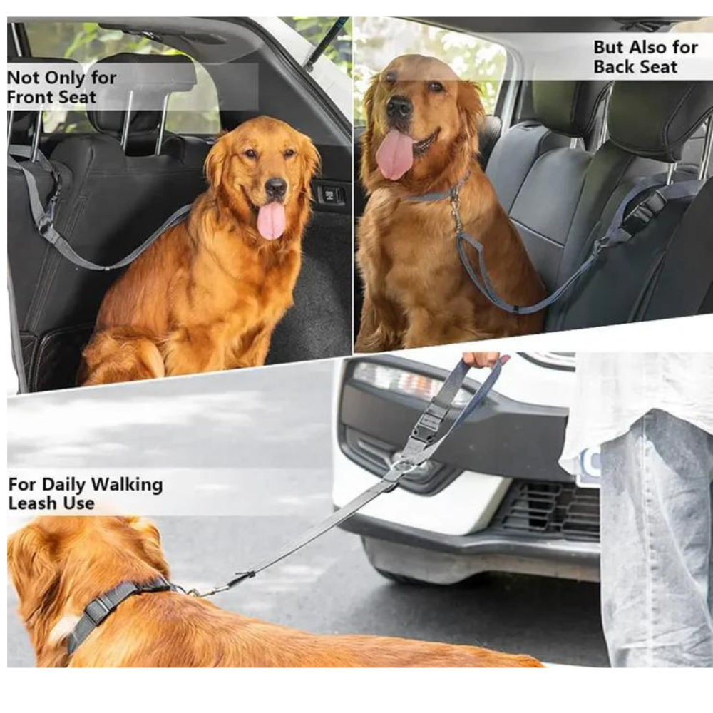 Adjustable Dog Car Seat Belt & Walking Leash