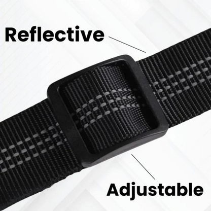 Adjustable Dog Car Seat Belt & Walking Leash