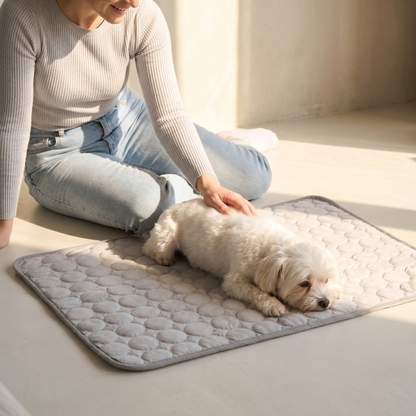 Self-Cooling Gel-Free Dog Mat